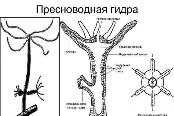 Как установить мегу на тор