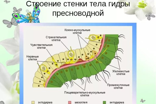 Как загрузить фото на сайт мега