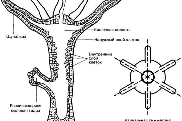 Кракен даркнет